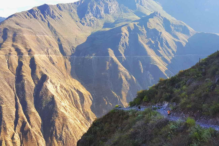 2-Day Colca Canyon Group Tour from Arequipa to Puno