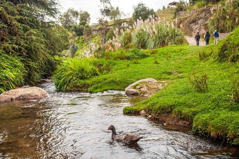 From Cajamarca: Porcón Farm, Vicuñas, and Local Crafts