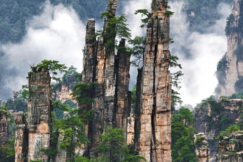 Vertical Heights: A 2-Day Private Discovery of Zhangjiajie