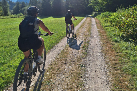 Passeio de bicicleta eléctrica ao desfiladeiro da Grande Soča e ao bosque aquático de Šunik