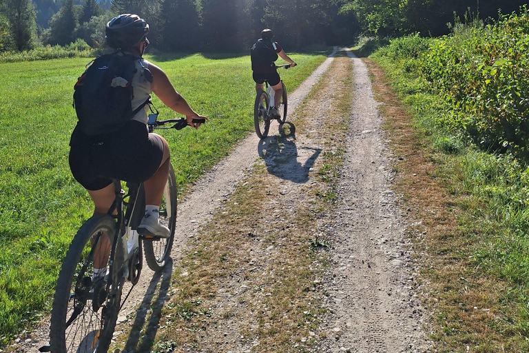 Excursión en bicicleta eléctrica por el Gran Desfiladero de Soča y el Bosque Acuático de Šunik