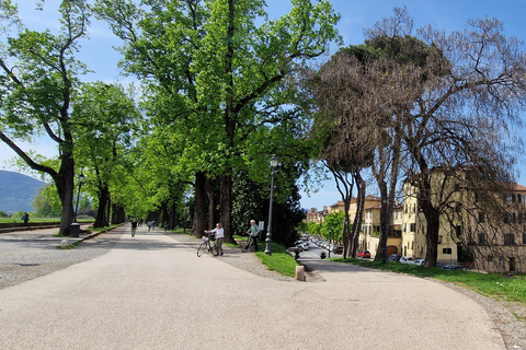 Lucca: visita al centro de la ciudad, San Martino y San Frediano