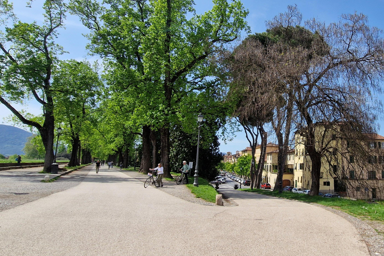 Lucca: tour of city center, San Martino and San Frediano