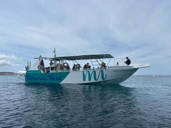 From Fornells: North Coast Beaches Cruise with Swim Stops