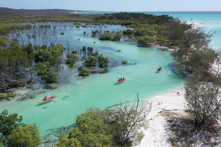 Île Fraser (K&#039;gari) : Île isolée et expérience avec les baleinesÎle Fraser (K&#039;gari) : île isolée et observation des baleines