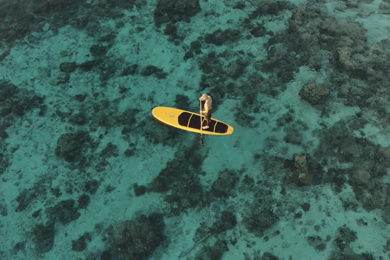 Gili Trawangan: SUP-paddleboarden bij zonsopgang met dronefotoGili Trawangan: Stand-up paddle met drone-opnames en gids