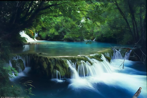 Bach Ma National Park Jungle Trek & Waterfall Adventure From Hue City: Group Tour