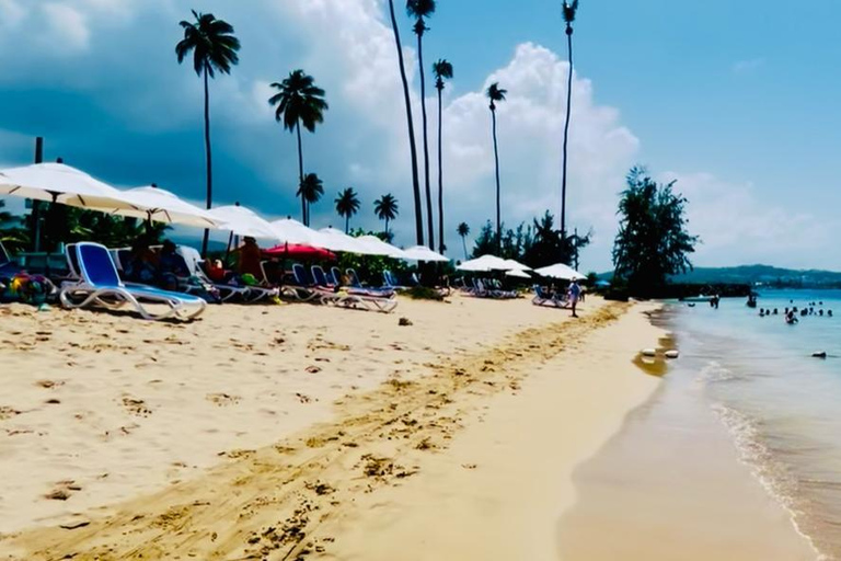 San Juan: Rainforest Waterslides & Beach Tour with Transport San Juan: El Yunque Rainforest and Luquillo Beach Day Tour