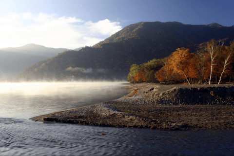 From Tokyo: Nikko UNESCO Shrine and Nature View Day Tour From Tokyo