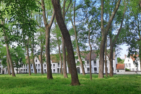 Tour di Bruges attraverso gli occhi di un locale, piccolo gruppo