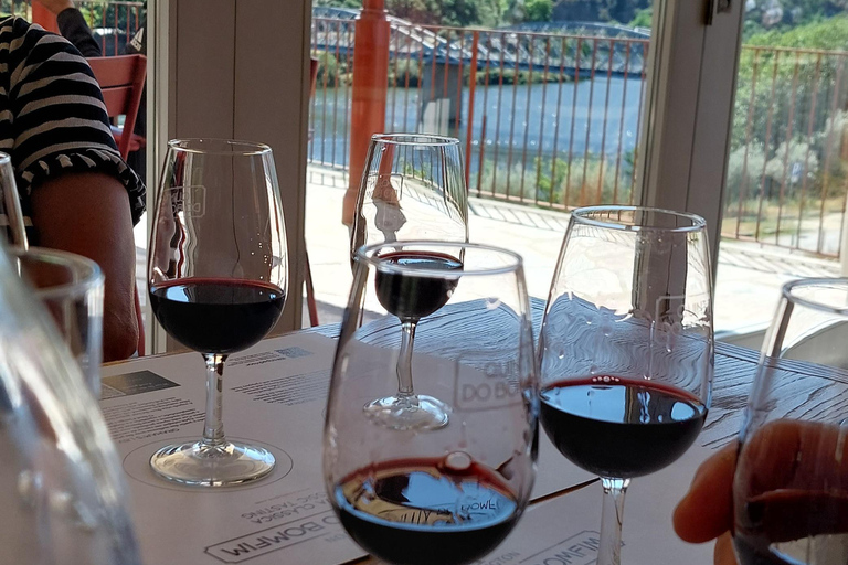 Douro Valley: Private Wine Tour with Lunch