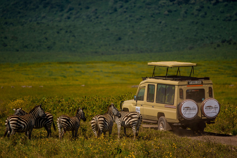 Arusha : excursion d&#039;une journée au cratère du Ngorongoro avec déjeuner