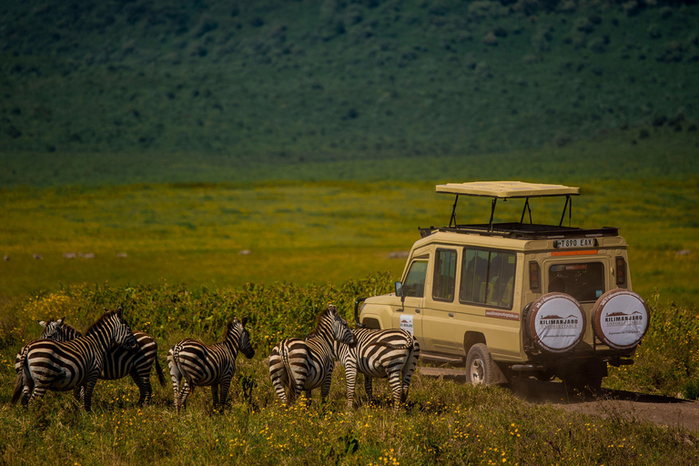 Arusha : excursion d&#039;une journée au cratère du Ngorongoro avec déjeuner