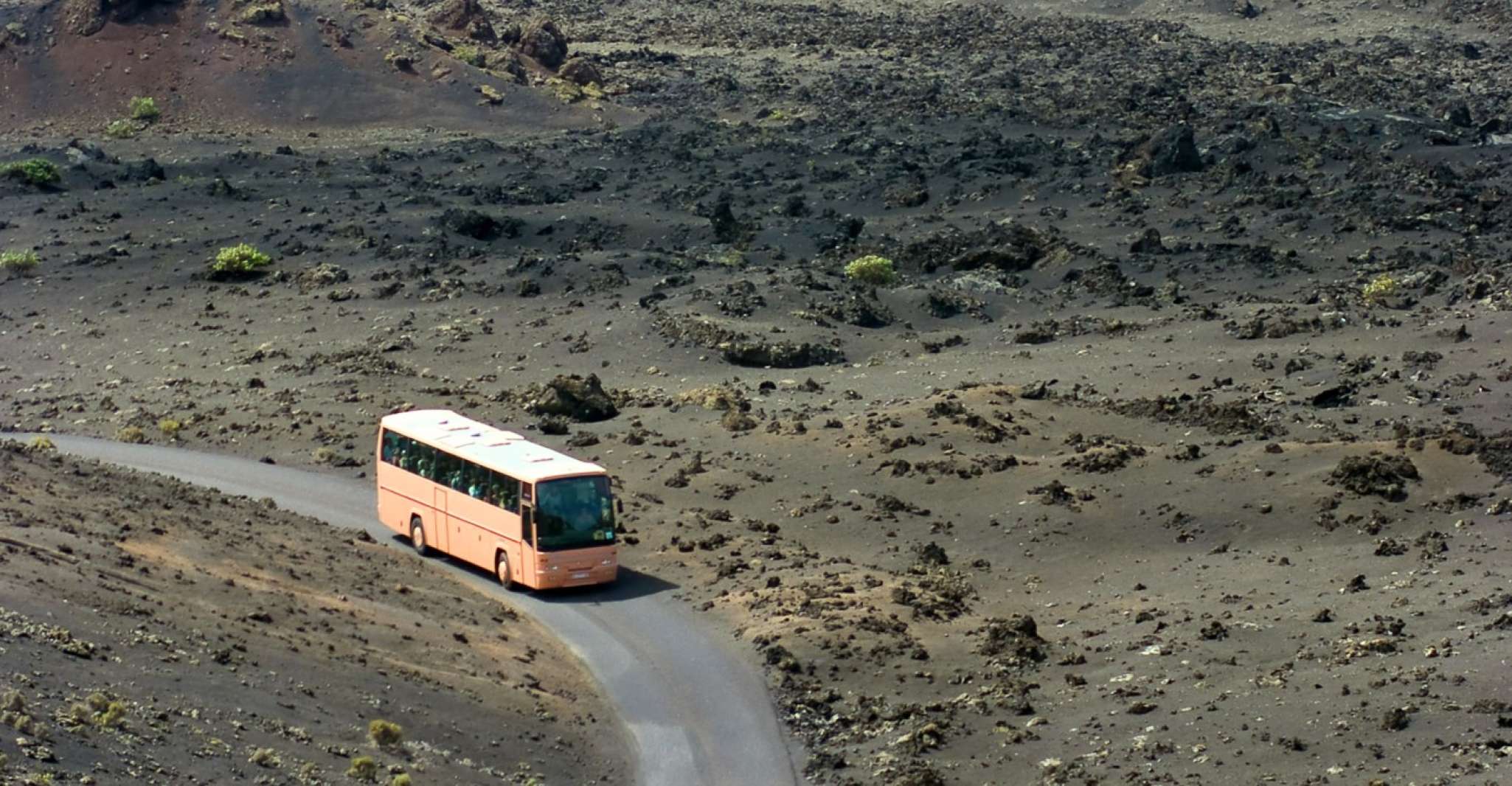 From Fuerteventura, Lanzarote Volcano and Wine Region Tour - Housity