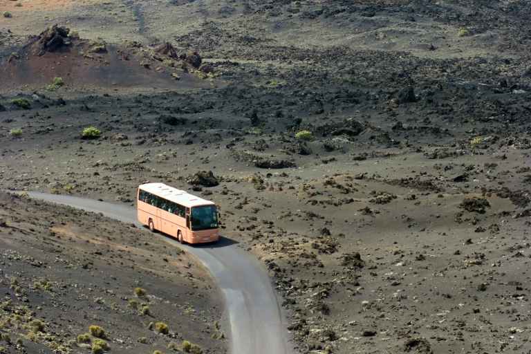 From Fuerteventura: Lanzarote Volcano and Wine Region Tour From Corralejo