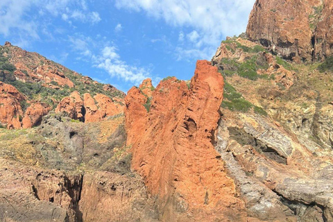 Porto: Tour of the Scandola Nature Reserve and the Calanche de Piana