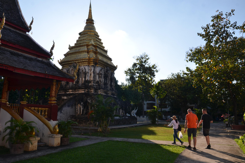 Chiang Mai : visite à pied des hauts lieux historiques et culturelsChiang Mai : Visite à pied des hauts lieux historiques et culturels