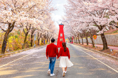 From Seoul: Wonju Nature Day Trip, Ginkgo Tree & Cable Car A. [Spring] Sogeumsan Cable Car & Cherry Blossom Tunnel Tour