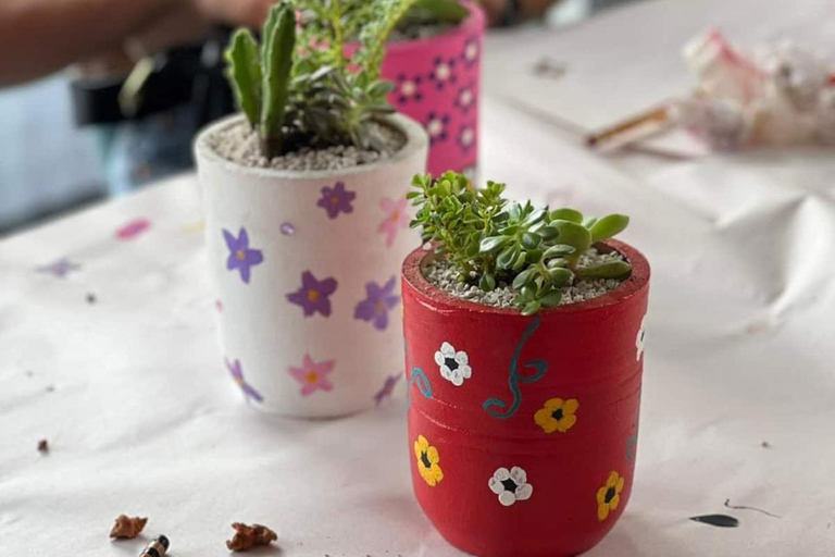 Create your succulent terrarium in the city of San José Create your succulent terrarium in San Jose