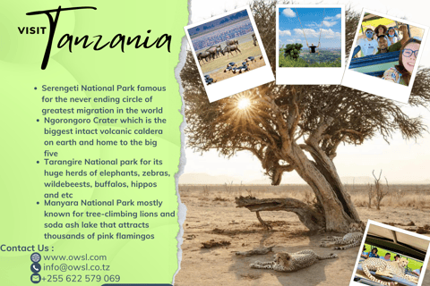 ARUSHA: Best Offer Safari Adventure with Accommodation