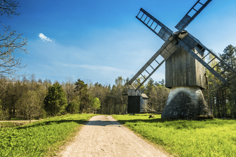 From Tallinn: Saaremaa & Muhu Tour - 2 Islands in One Day