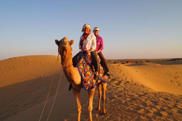 Jodhpur: Luksusowa wyprawa na pustynię z jazdą na wielbłądzie i ucztąJodhpur: luksusowa wyprawa na pustynię z jazda na wielbłądzie i ucztą