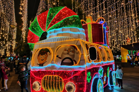 麦德林：乘坐主题车辆的圣诞灯光城市观光