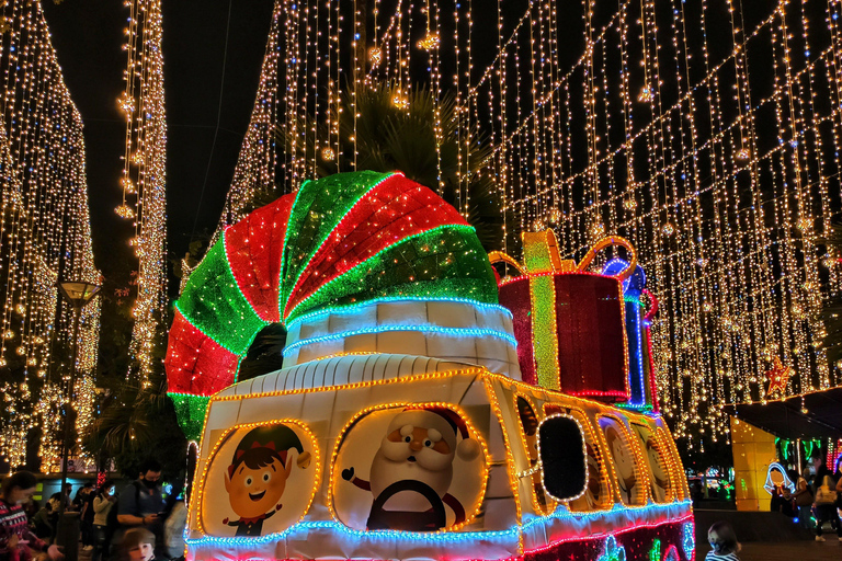 麦德林：乘坐主题车辆的圣诞灯光城市观光