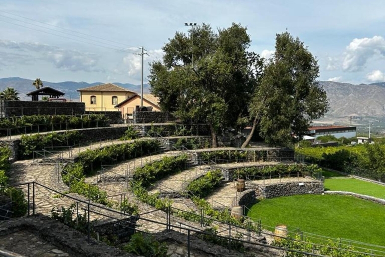 Etna : dégustation de vinsVisite privée (par groupe)