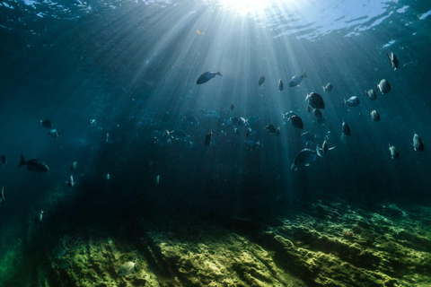 Vila Franca do Campo: Snorkeling & Boat Tour at the Islet