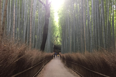 Kyoto: Arashiyama Affenpark, Bambuswald und Tempel