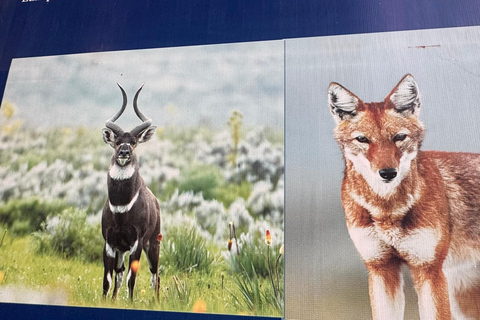 Addis Abeba: 21-dniowa wycieczka do Doliny Omo