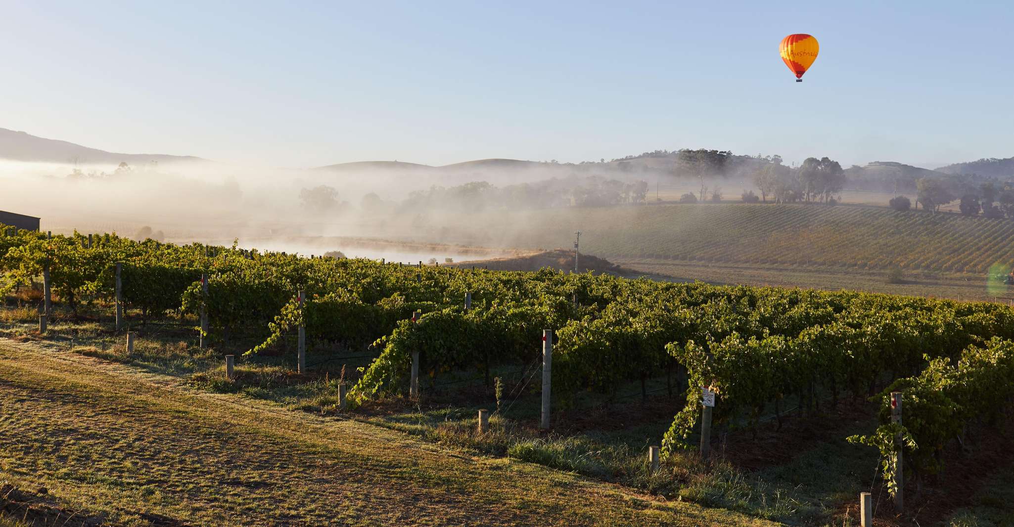 From Melbourne: Yarra Valley Hop-On-Hop-Off Bus Ticket photo 10