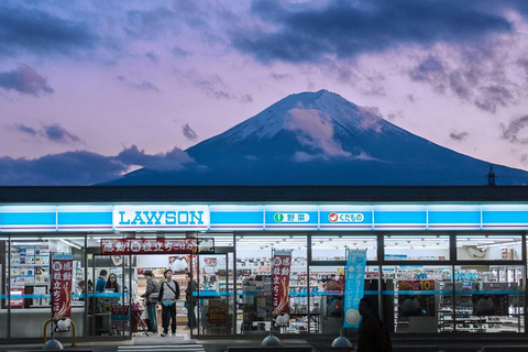 Tokyo: Mt. Fuji & Hakone One-Day Private Customizable Tour