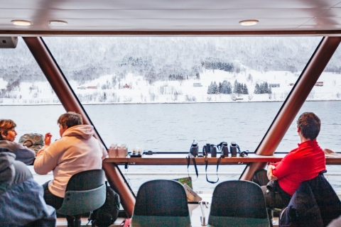 Tromsø: fiordo ártico en catamarán híbrido-eléctrico