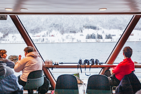 Tromsø: boottocht in fjord met hybride-elektrische catamaranTromsø: boottocht in fjord met elektrische catamaran