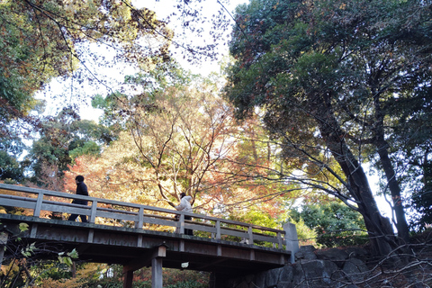 Nagoya: Exploring the Beauty of Tokugawa-en Garden