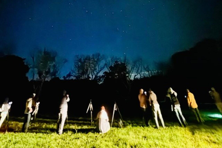 Brisbane : Tour de la montagne Tamborine et observation des étoiles