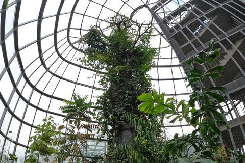 Bogotá: Botanical Garden Sightseeing Tour and Visit to the Paloquemao Market with Fruit Shared Sightseeing Tour + Tickets + Fruit