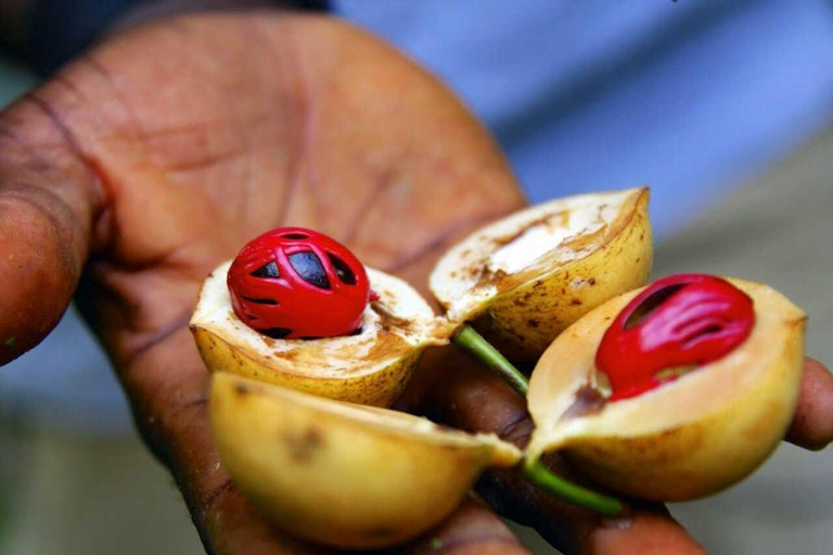 Zanzibar: Private Stone Town, Prison Island & SpiceFarm Tour Tour without transfer, entrance fees and conservation fees