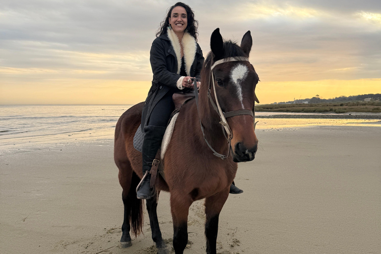 Montevideo: Horseback riding on a trail to the Beach