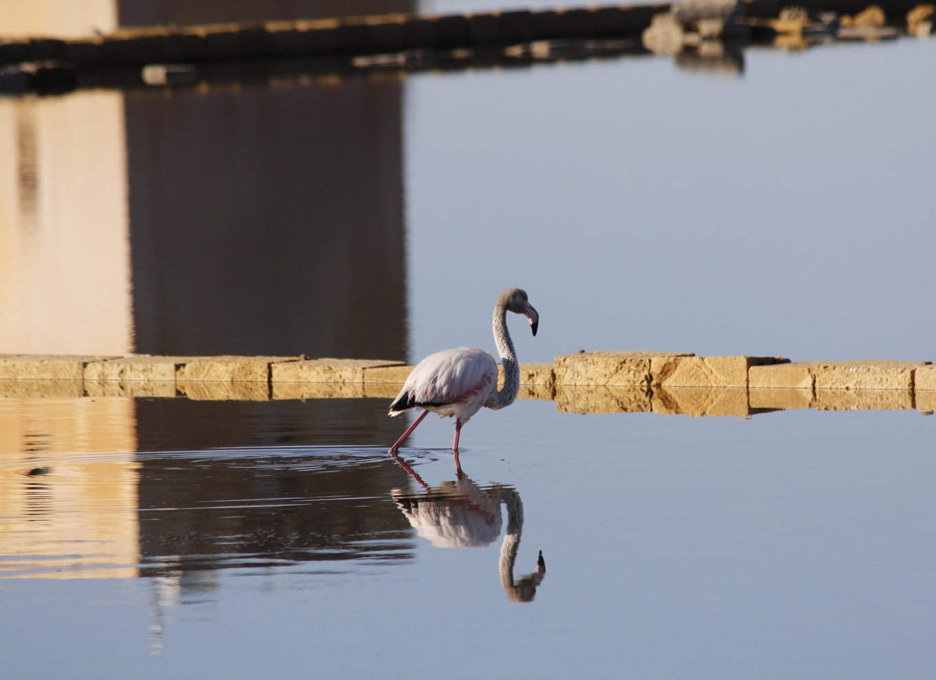 Saline di Trapani: 2 timer og 30 minutters salttur
