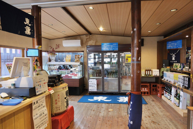 Da Narita: Tour storico di Narita e Sawara con crociera in barca