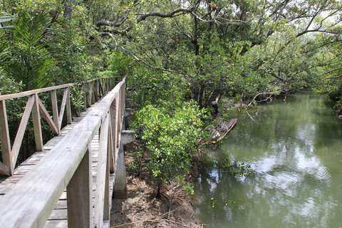 Aklan Discover Ibajay