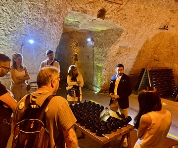 Champán Veuve Clicquot Medio día Excursión privada desde París
