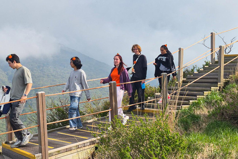 Jeju: UNESCO South & East Highlights 2 Days Combo Tour