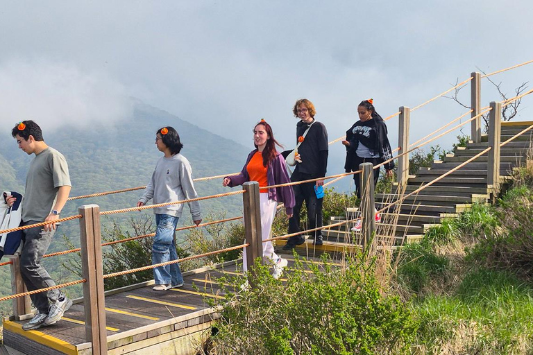Jeju: UNESCO South & East Highlights 2 Days Combo Tour