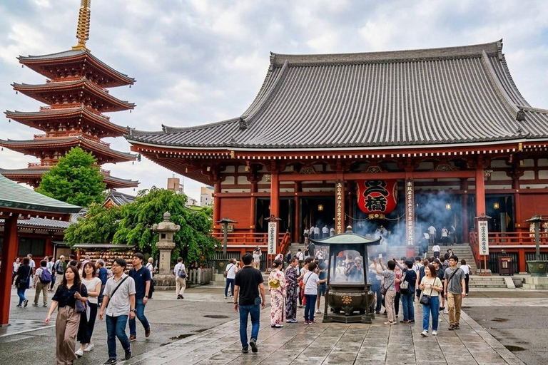 Tokyo: Tokyo Full Day Private Customizable Tour with Guide