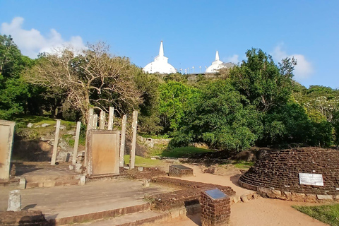 From Colombo/Negombo to Anuradhapura Day Tour with Mihintale
