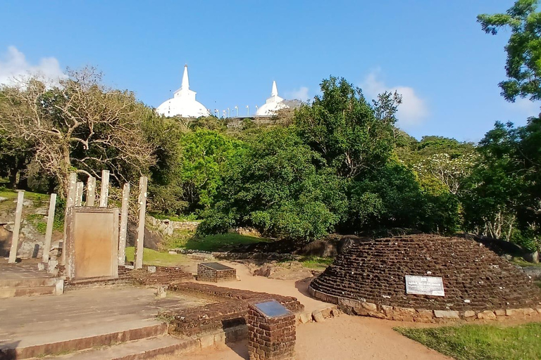 From Colombo/Negombo to Anuradhapura Day Tour with Mihintale